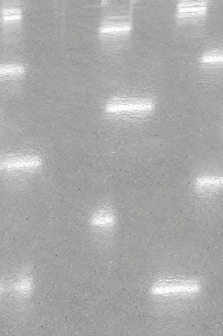 Polished concrete floor option for a commercial space in Tampa, FL
