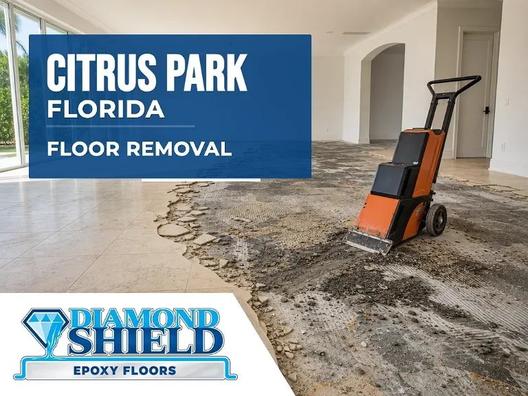 Floor removal company machine lifting tile from a slab in Citrus Park, FL