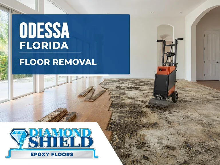 Floor removal company machine lifting tile from a slab in Odessa, FL