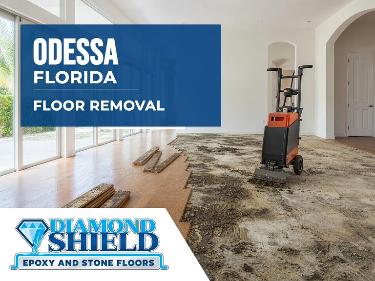 Floor removal company machine lifting tile from a slab in Odessa, FL