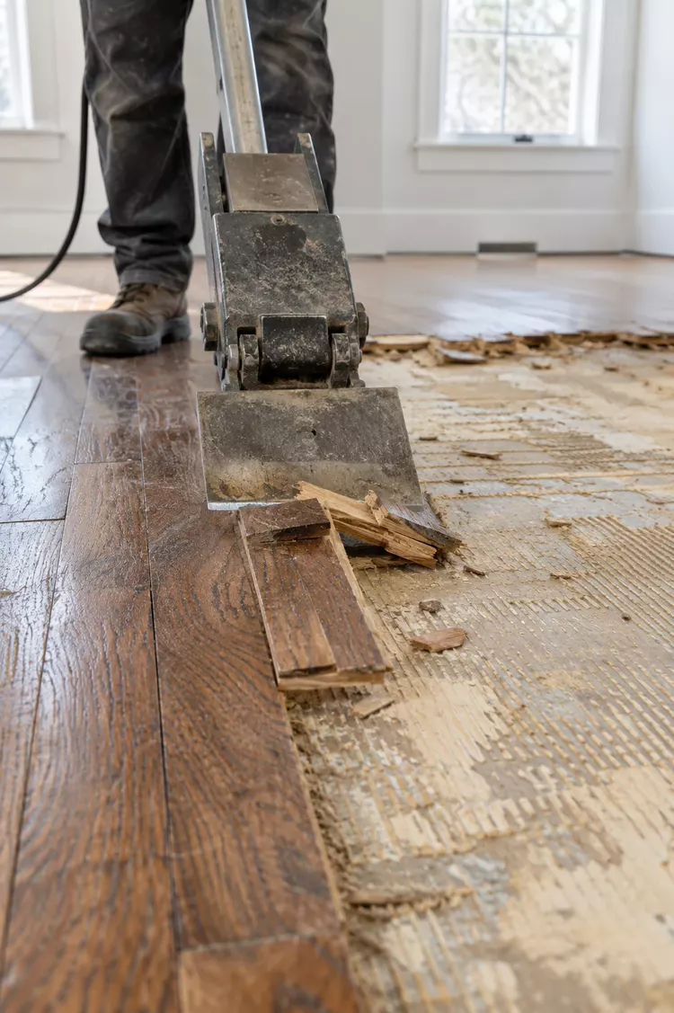 Floor removal scraper lifting hardwood planks in Tampa, FL