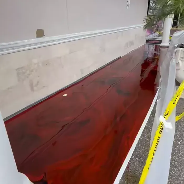 Decorative metallic coating around a residential pool in Tampa, FL
